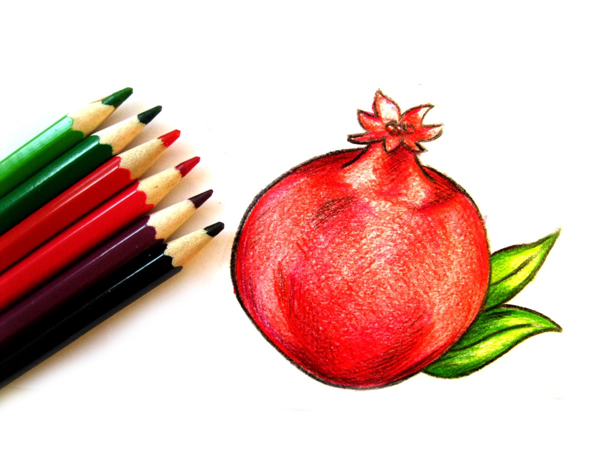 рисунок гранат цветными карандашами