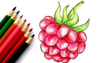 Рисуем малину цветными карандашами
