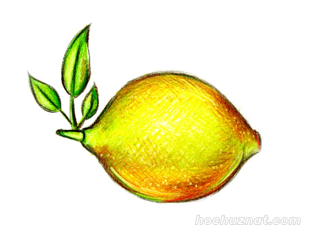 лимон цветными карандашами