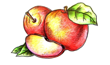 Как нарисовать яблоко карандашом поэтапно