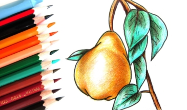Как нарисовать грушу цветными карандашами