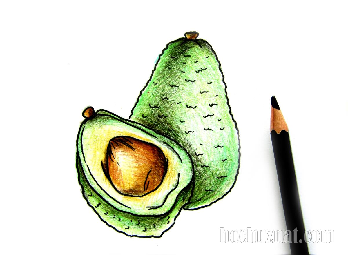 рисунок авокадо