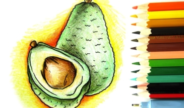 Как нарисовать авокадо карандашами