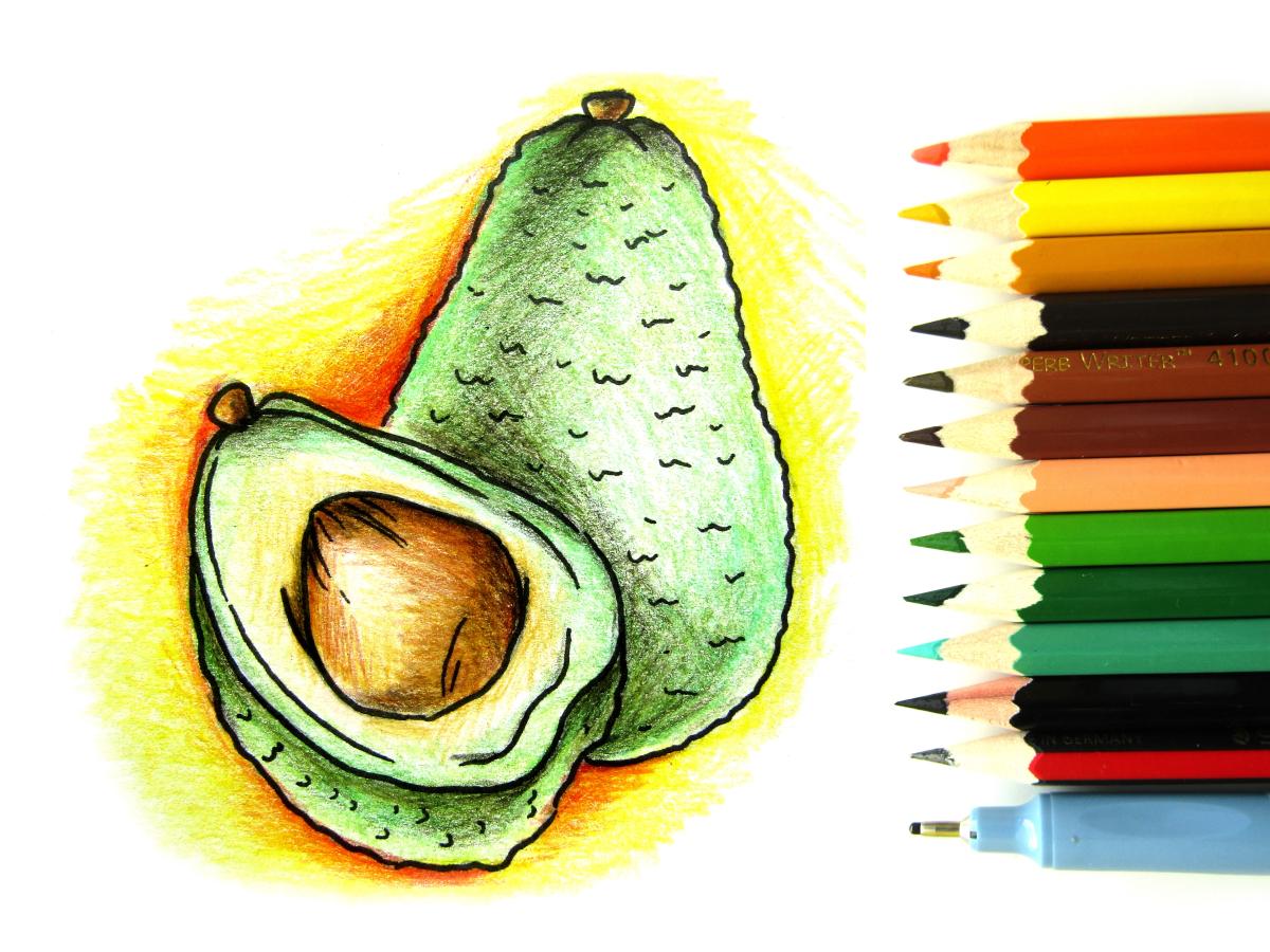 Как нарисовать авокадо карандашами