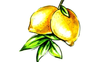 Как нарисовать лимоны на ветке акварелью