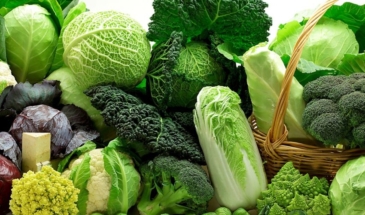 Крестоцветные овощи: виды, полезные свойства, побочные эффекты