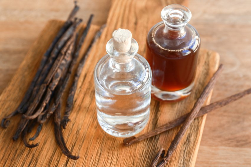 Экстракт ванили: полезные свойства, рецепты, противопоказания