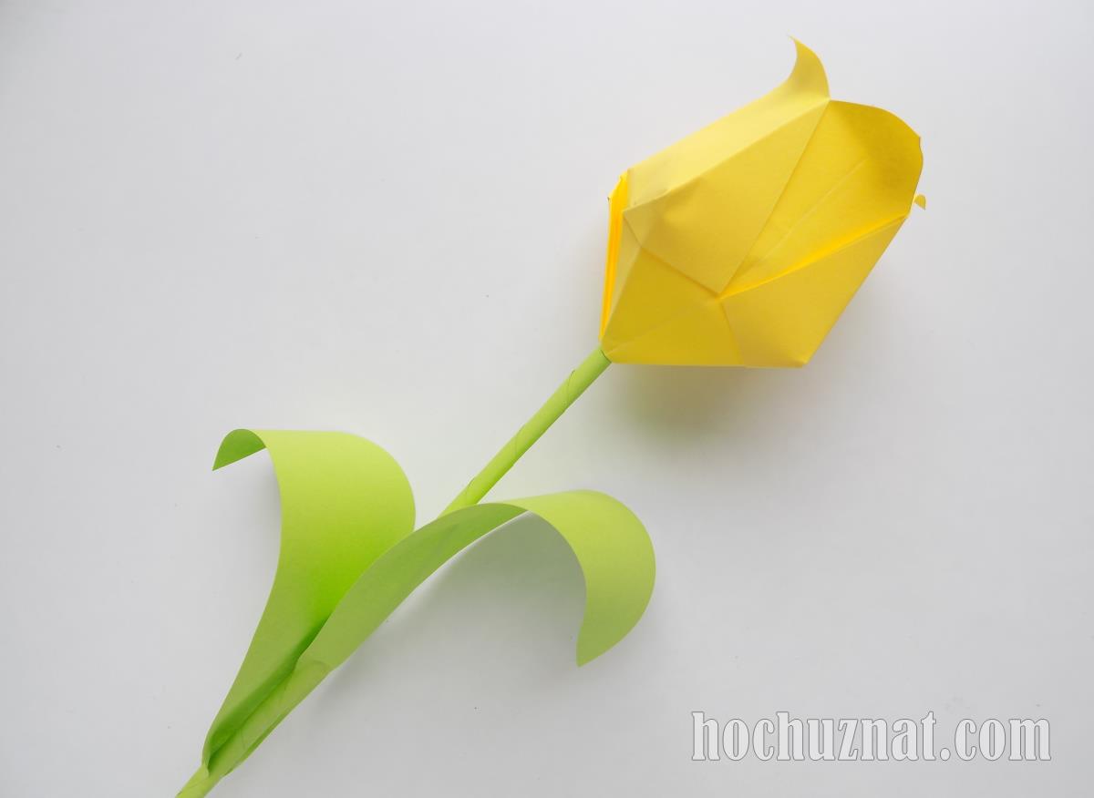 фото тюльпана из бумаги
