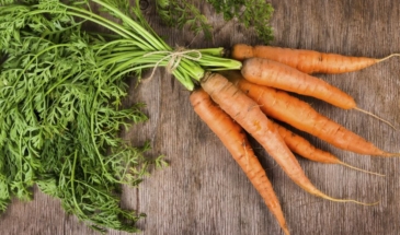 Морковь: полезные свойства и противопоказания