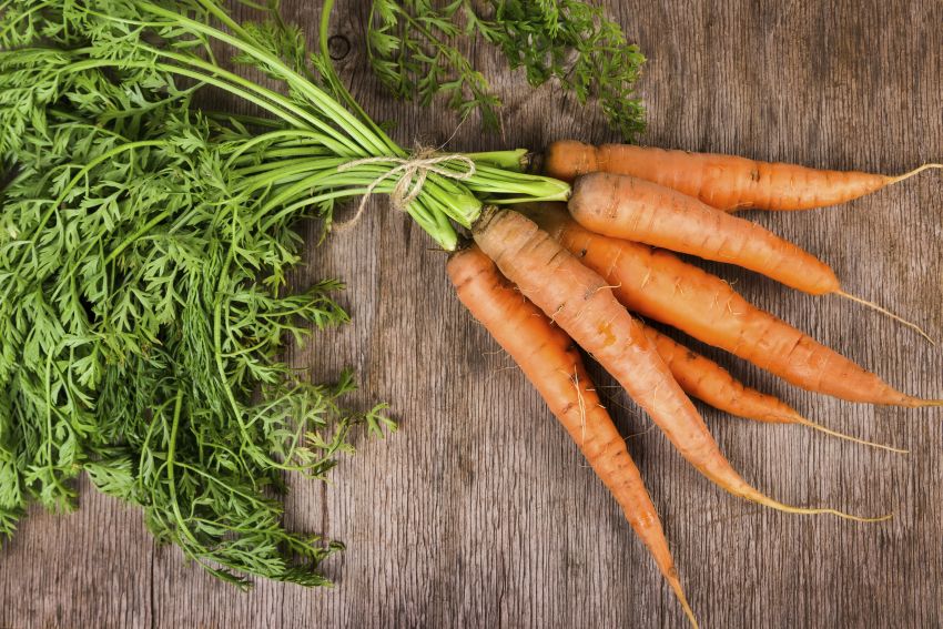 Морковь: полезные свойства и противопоказания