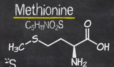 Метионин: полезные свойства, источники, побочные эффекты
